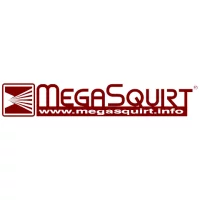 Megasquirt
